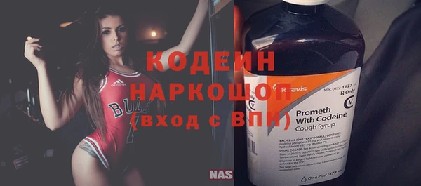 гашик Кодинск