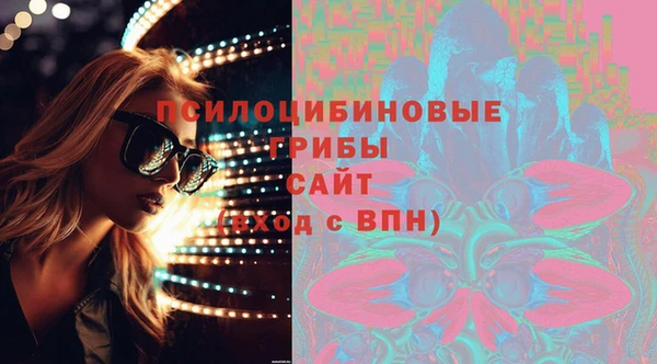 гашик Кодинск
