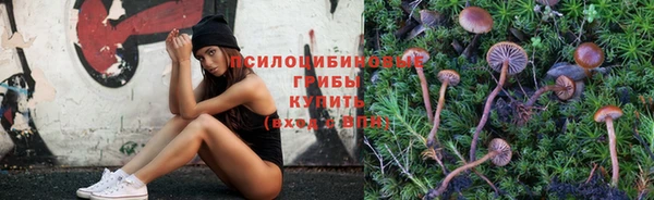 гашик Кодинск