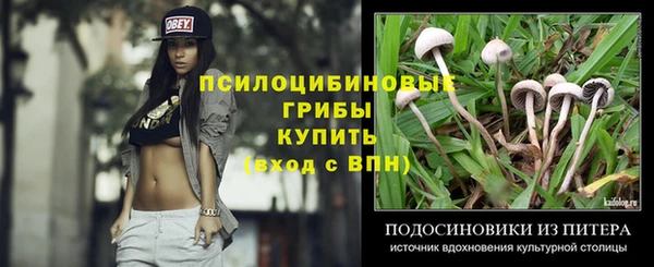 дживик Козловка